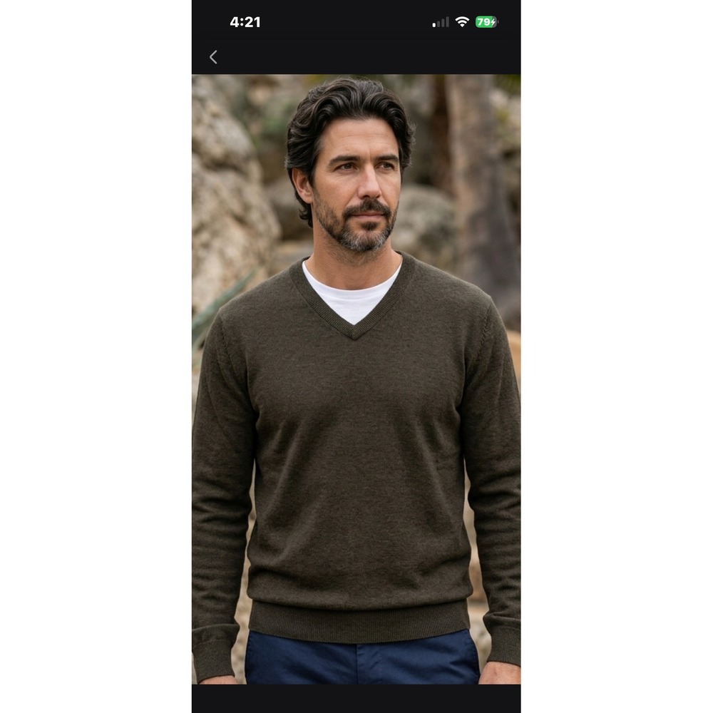 Turnbury Mens Extra Fine Merino Wool V-Neck Sweater Dark Olive Brown XLT Tall